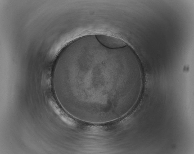 X0000115651499200911101527