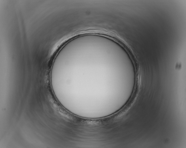X0000115651501200911101527