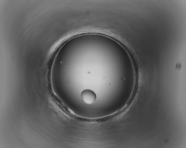 X0000115651502200911101527