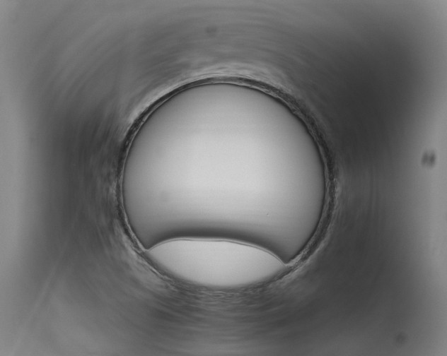 X0000115651505200911101527