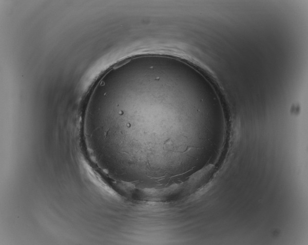 X0000115651506200911101527