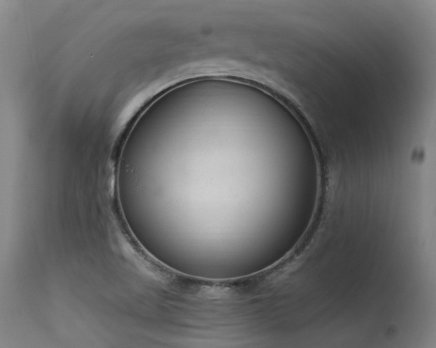 X0000115651509200911101527