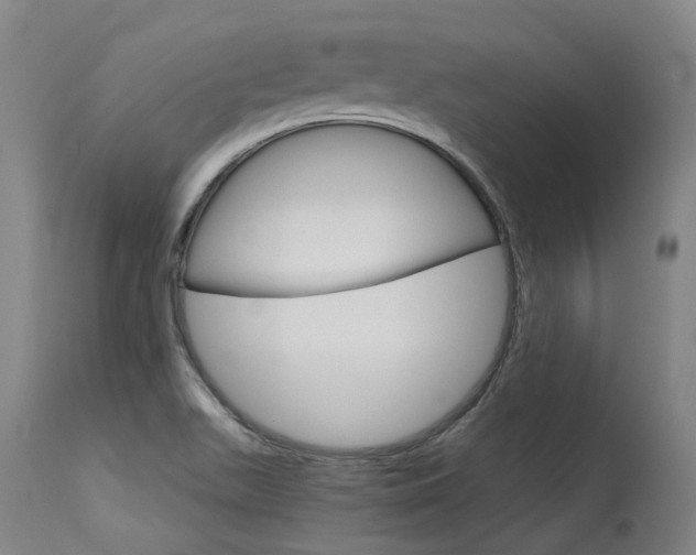 X0000115651511200911101527