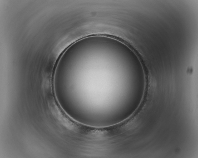 X0000115651513200911101527