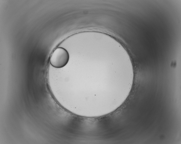 X0000115651514200911101528