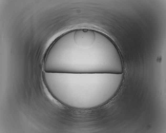 X0000115651515200911101528
