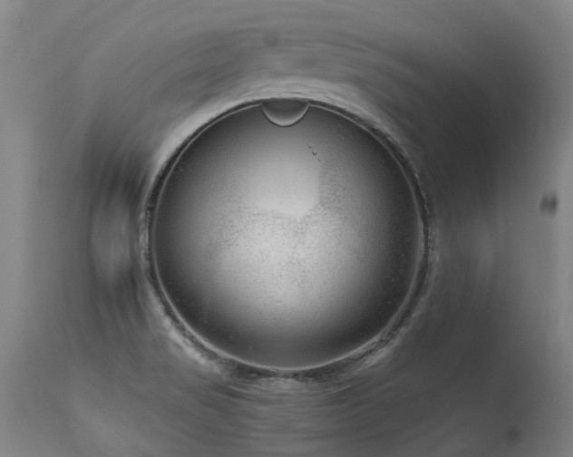 X0000115651517200911101528