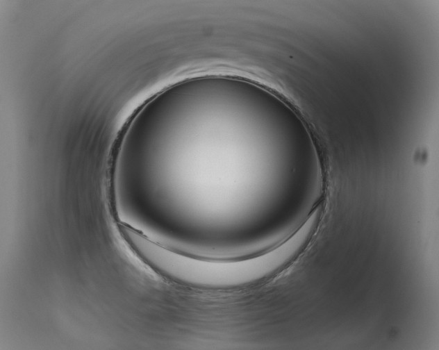 X0000115651518200911101528