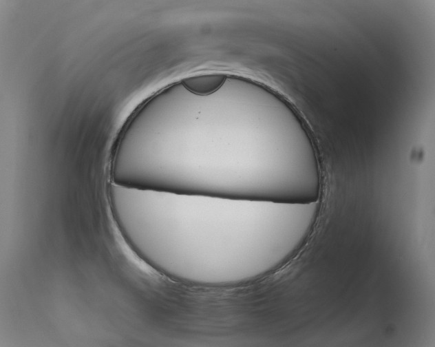 X0000115651519200911101528