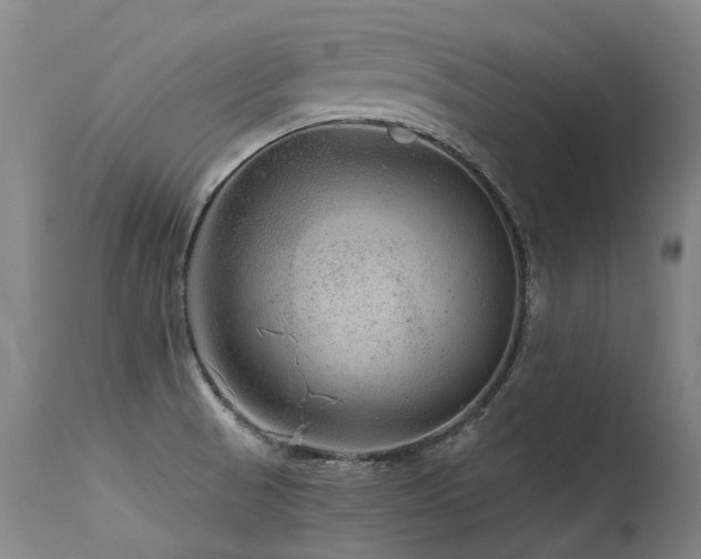 X0000115651521200911101528