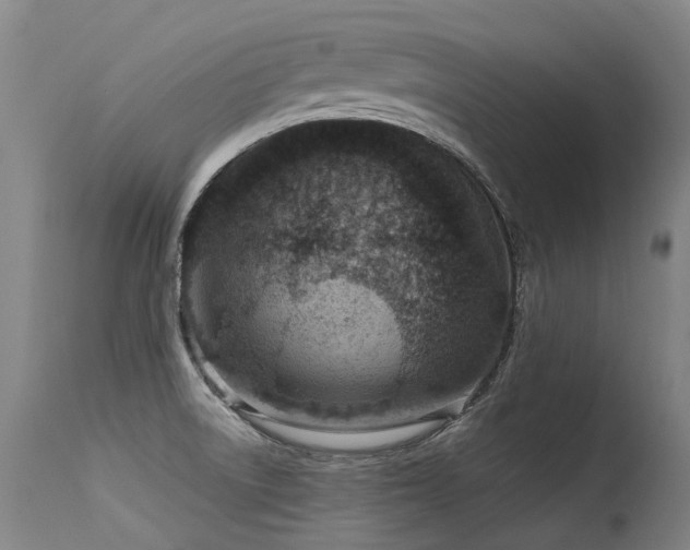 X0000115651522200911101528