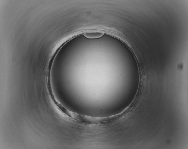 X0000115651523200911101528