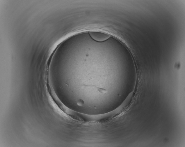 X0000115651526200911101528