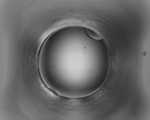 X0000115651527200911101528