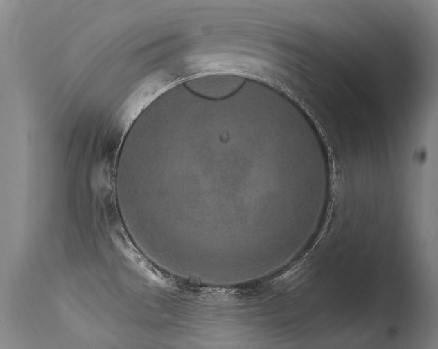 X0000115651529200911101528