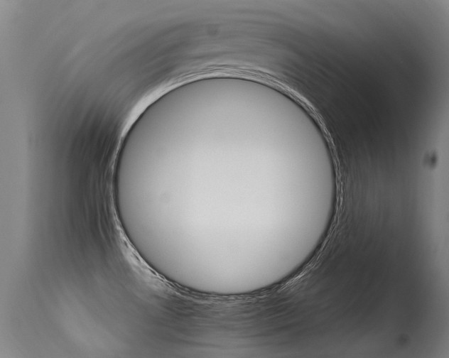 X0000115651530200911101528