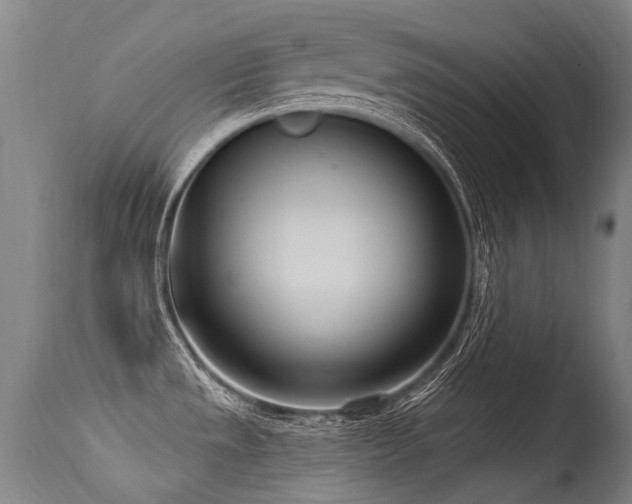 X0000115651533200911101528