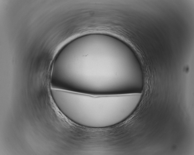 X0000115651534200911101528