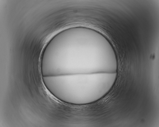 X0000115651535200911101528