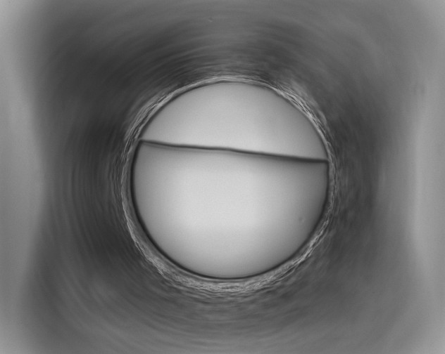 X0000115650001200911171452