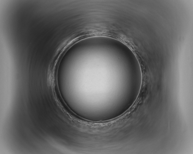 X0000115650002200911171452