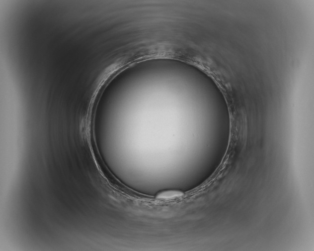 X0000115650003200911171452