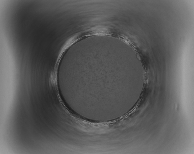 X0000115650004200911171452