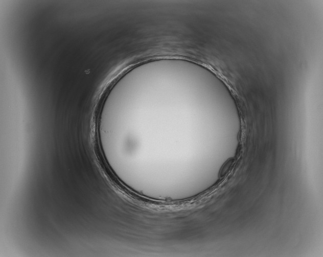 X0000115650005200911171452