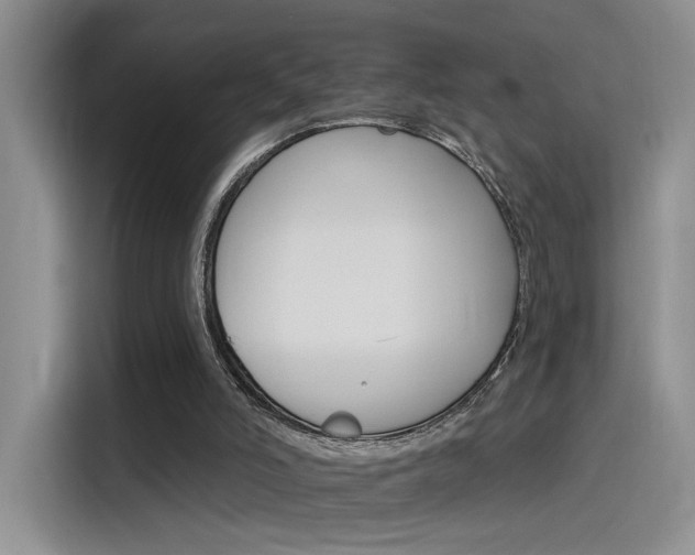 X0000115650006200911171452