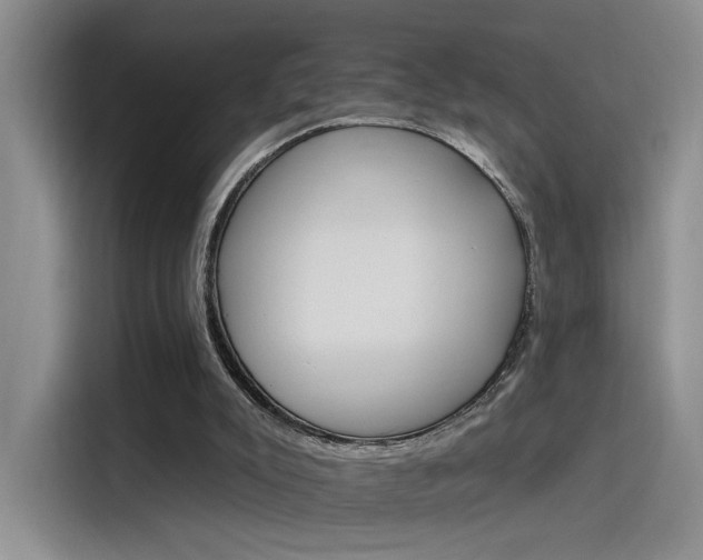 X0000115650007200911171452