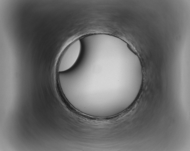 X0000115650008200911171452