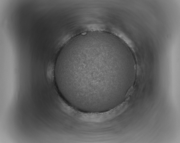 X0000115650009200911171452