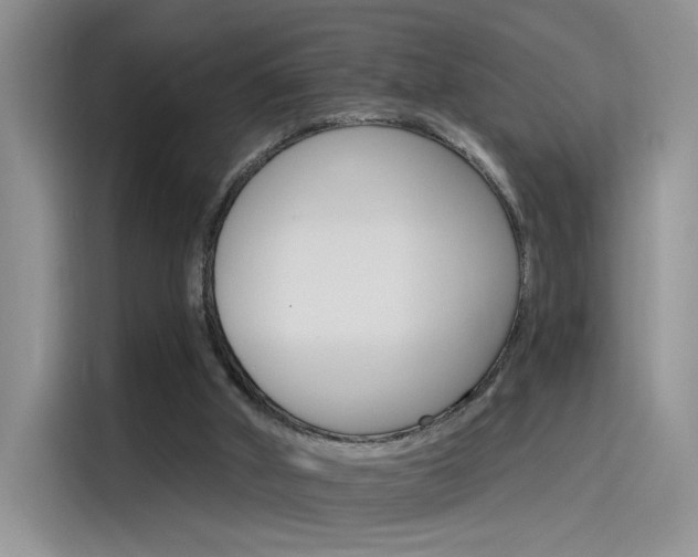 X0000115650010200911171451