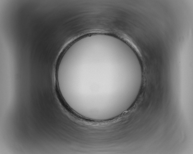 X0000115650011200911171451