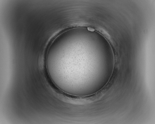 X0000115650012200911171451