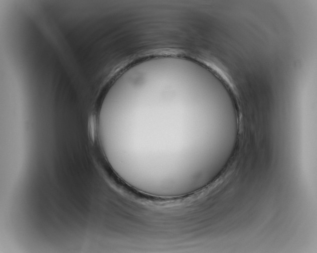 X0000115650013200911171451