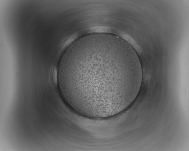 X0000115650014200911171451