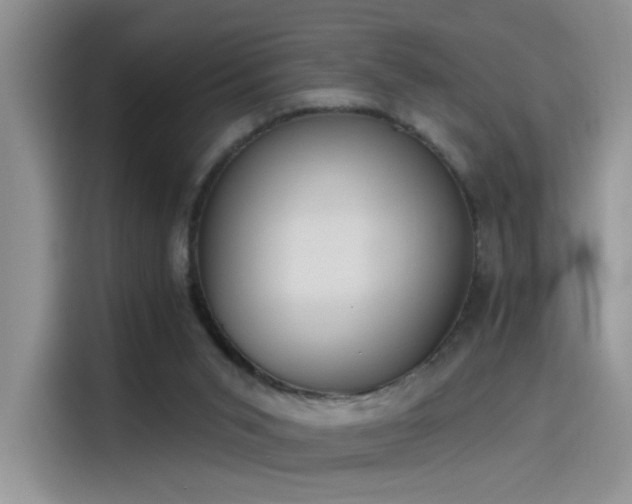 X0000115650015200911171451