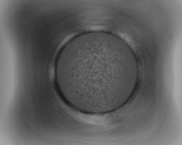 X0000115650016200911171451