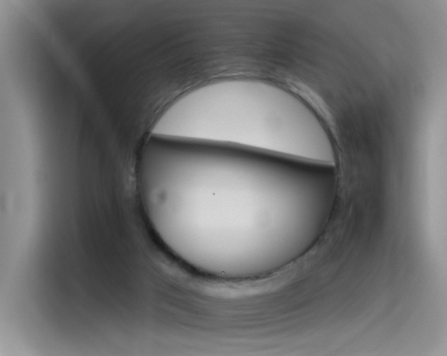 X0000115650017200911171451