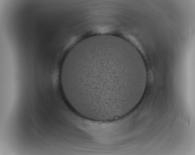 X0000115650018200911171451