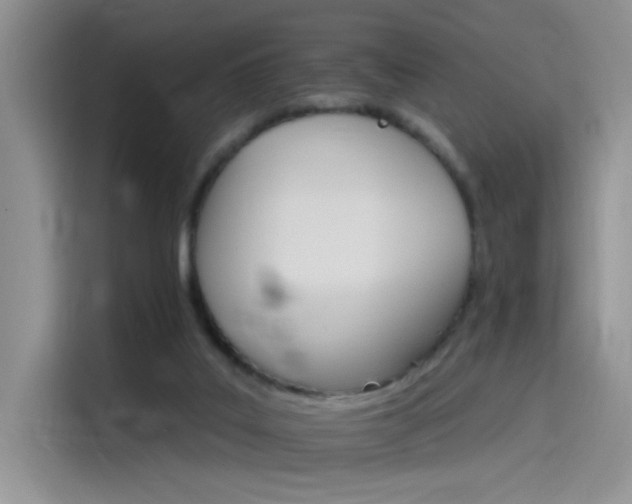 X0000115650019200911171451