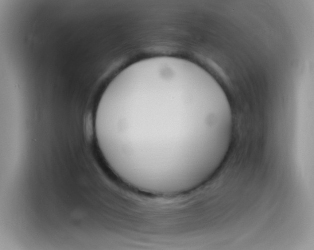 X0000115650020200911171451