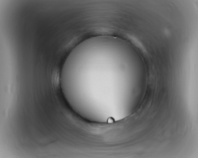 X0000115650021200911171451