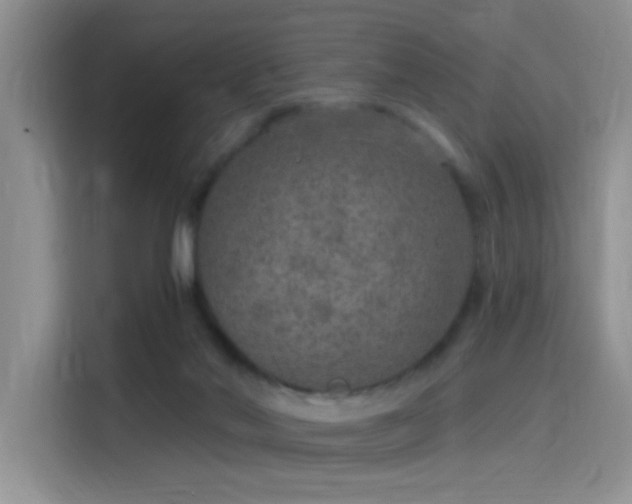 X0000115650022200911171451