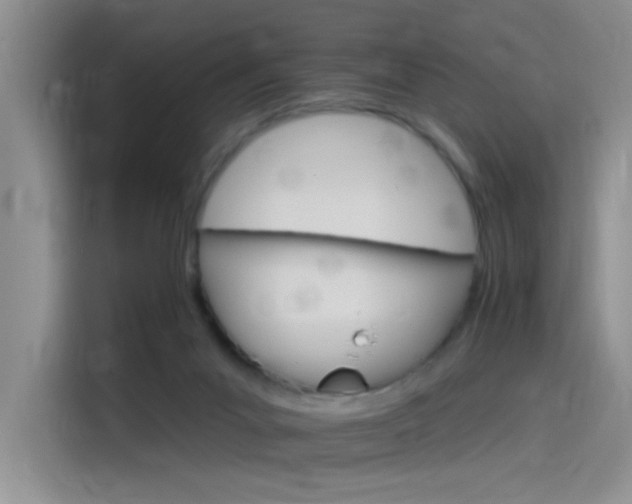 X0000115650023200911171451