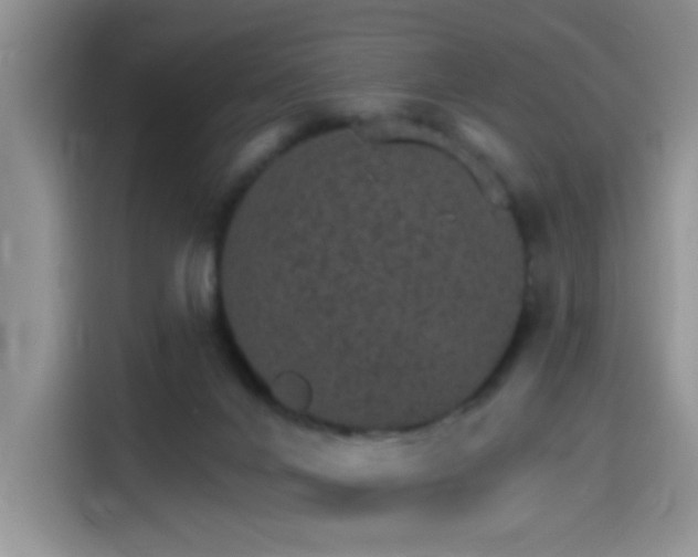 X0000115650024200911171451