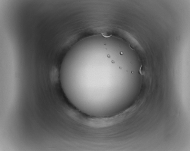 X0000115650025200911171451