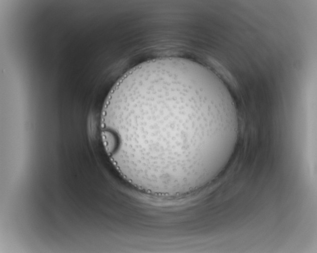 X0000115650026200911171451