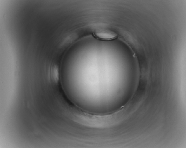 X0000115650027200911171451